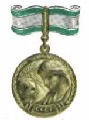 Медаль материнства II степени